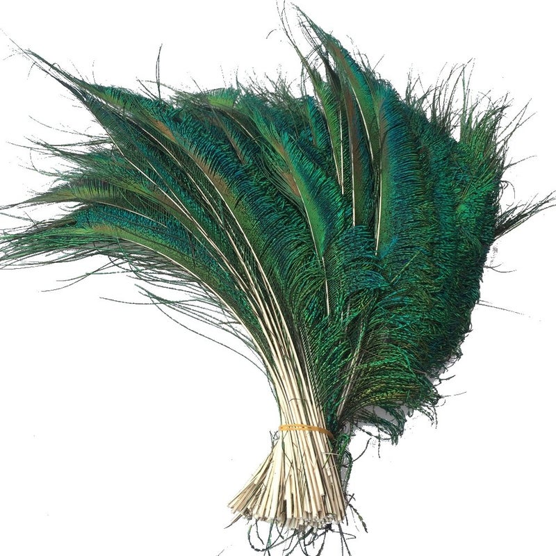 Sowder Natural Peacock Sword Feathers 10-15 Inches for Wedding Home Decoration Pcak of 30 - Image 1